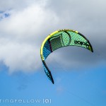 Liquid Force Solo 2015